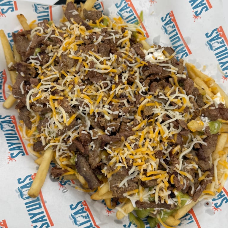 Loaded Carne Asada Fries